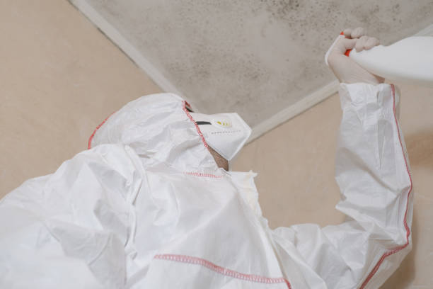 Professional Mold Remediation in Cornelius, OR